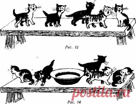 демонстрационный материал у тети кати пять котят - Поиск в Google