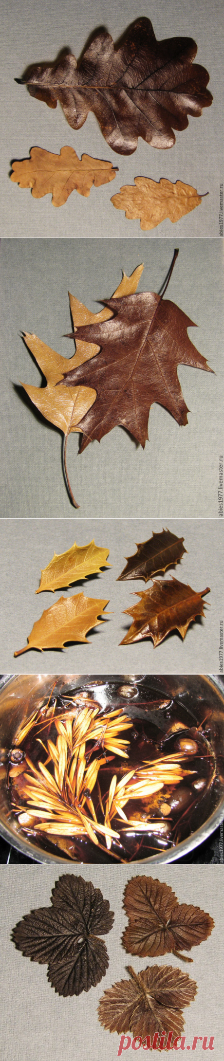 Как быстро законсервировать листья в глицерине - Ярмарка Мастеров - ручная работа, handmade