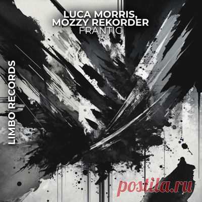 Luca Morris & Mozzy Rekorder – Frantic - FLAC Music