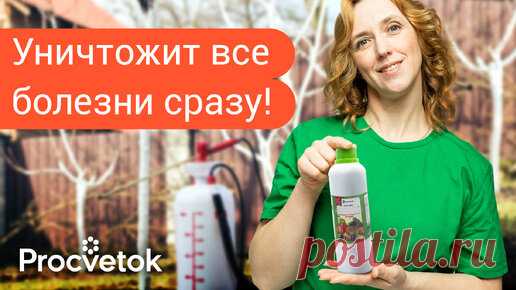 Первая и самая важная обработка сада весной от болезней! Вот чем лучше всего опрыскать сад в марте | Procvetok | Дзен