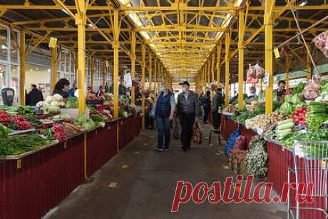 В России стали выдавать черепашье мясо за куриное. Анализ ДНК показал, что в ряде российских городов и регионов стали продавать черепашье мясо под видом куриного. Речь идет о прилавках магазинов Сочи, Адлера и Краснодарского края. Фальсификации затронули и другие виды мяса: сазан продавался под видом тарани, а щупальца гигантского кальмара выдавались за осьминога.