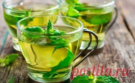 Ромашковый чай с мятой — простое средство для крепкого здоровья | Журнал "JK" Джей Кей