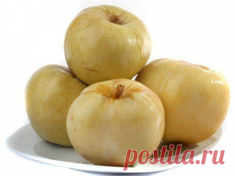 Моченые яблоки: рецепты / Простые рецепты