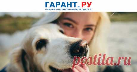 Термин зоозащитник предлагают закрепить в Законе об ответственном обращении с животными Соответствующий законопроект внесен в середине февраля в Госдуму.