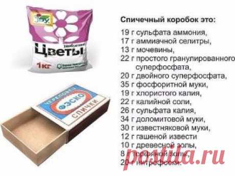 ОГОРОДНАЯ АРИФМЕТИКА: ОТМЕРЯЕМ УДОБРЕНИЯ &quot;НА ГЛАЗОК&quot;! 
Сохраните, чтобы не потерять! 
 
Не пугайтесь, все может быть гораздо проще. у огородника есть свои, причем весьма точные мерки. 
 
 
Первая из них - спичечный коробок. В нем помещается: 
 
19 г сульфата аммония, 
17 г аммиачной селитры, 
13 г мочевины, 
22 г простого гранулированного суперфосфата, 
20 г двойного суперфосфата, 
35 г фосфоритной муки, 
19 г хлористого калия, 
22 г калийной со