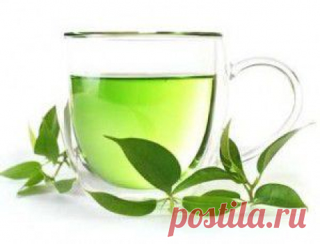 Зеленый чай как средство омоложения.