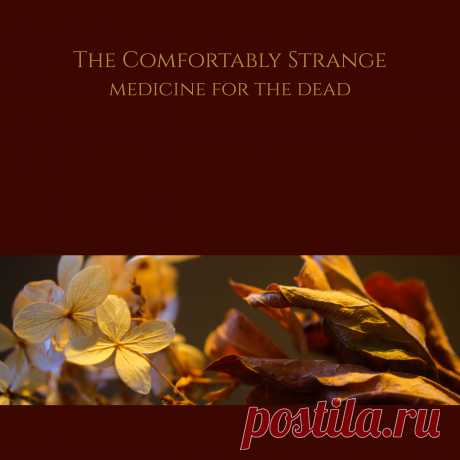 The Comfortably Strange - Medicine For The Dead (EP) (2023) 320kbps / FLAC
