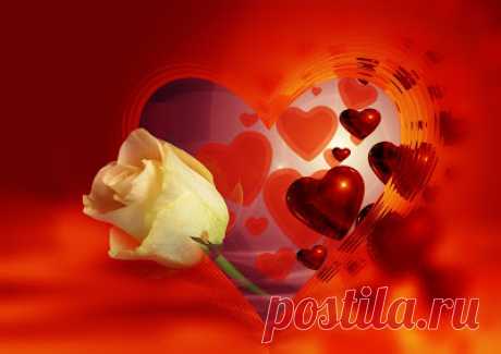 25 fotos de rosas rojas, arreglos florales y postales para el Día del Amor y la Amistad. - Happy Valentine's Day | Banco de Imágenes