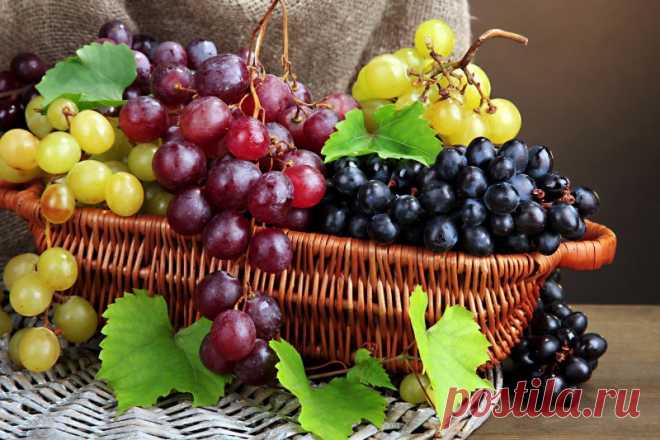 Обрезка винограда осенью. И пара приемов для повышения плодоношения — Садоводка