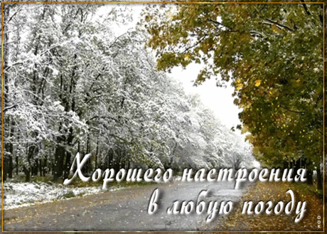 Удивительная открытка Хорошего настроения в любую погоду - Скачать бесплатно на otkritkiok.ru