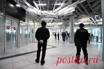 В российском аэропорту поймали пытавшегося дать взятку полицейскому иностранца