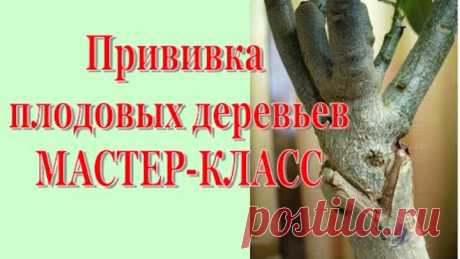 ЧУДО СМЕСЬ ОТ РАКА