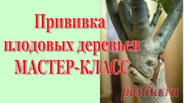 ЧУДО СМЕСЬ ОТ РАКА