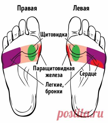 21 точка на стопах, массаж которых улучшает самочувствие