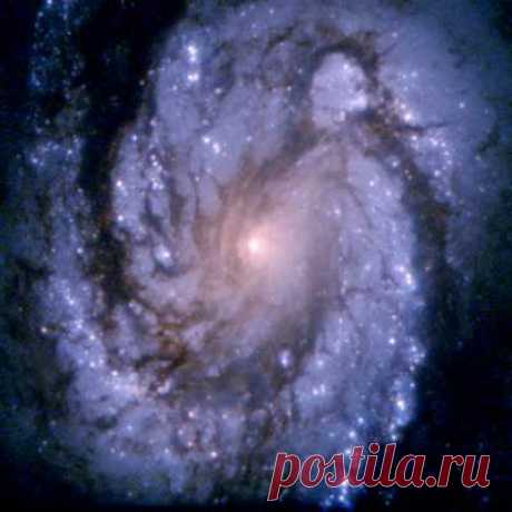 HubbleSite - Фотоальбом: Спиральная галактика M100