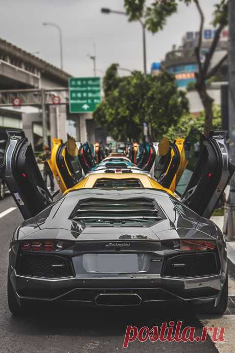 johnny-escobar:
“Lamborghini Aventador’s
”