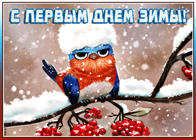 Смешная картинка Первый День Зимы - Скачать бесплатно на otkritkiok.ru
