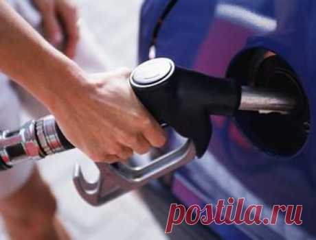 Почему бензин не дешевеет, не смотря на то, что цены на нефть снижаются