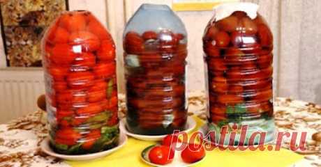 Veknews: Квашеные помидоры в домашних условиях, как бочковые