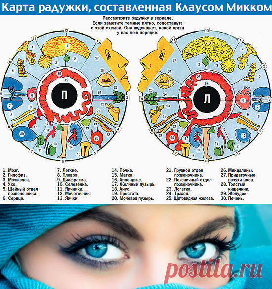 Определение болезни по картинке