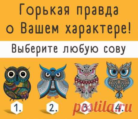 🦉 Не зря совы ассоциируются с мудростью. Это на самом деле очень умные, таинственные и удивительные птицы, непохожие на других. Поэтому именно их мы попросим рассказать о не самых приятных качествах вашего характера.