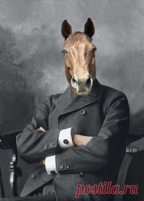 Mister Ed - Vintage Horse in Grey Suite Print - Anthropomorphic Horse - Unique Art - Photo Collage - Whimsical Art - Gift Idea