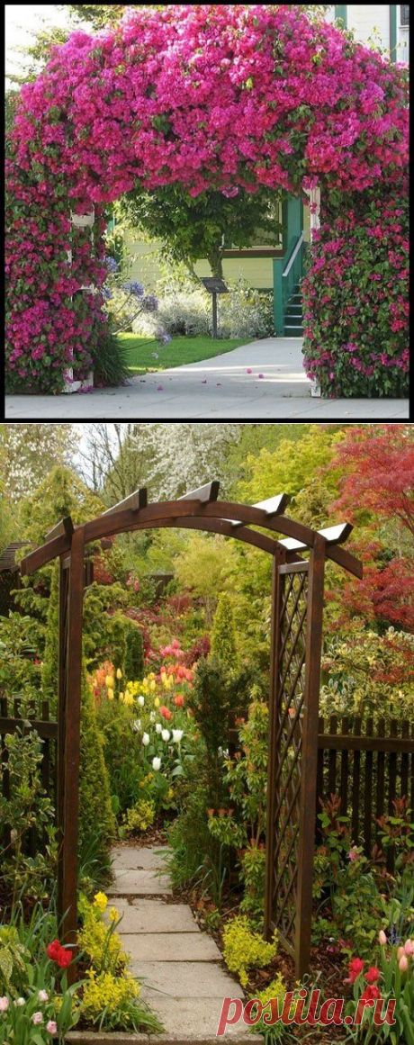 Садовая арка. Выбор конструкции и растений для садовой арки.