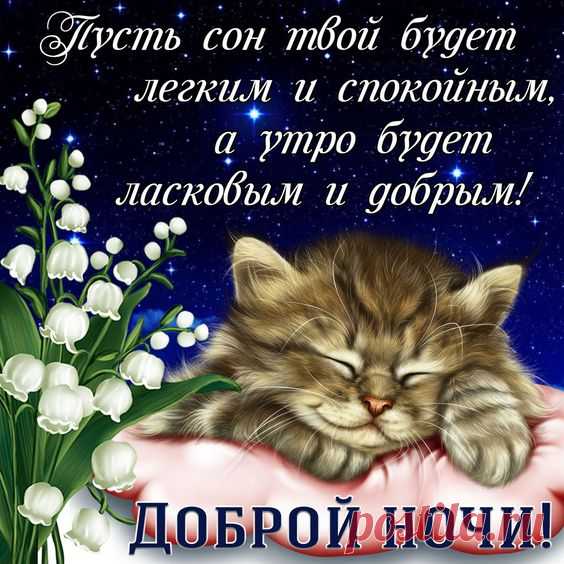 Картинка со спящим котиком и пожеланием доброй ночи. Бесплатно скачайте эту открытку и порадуйте близкого Вам человека.
