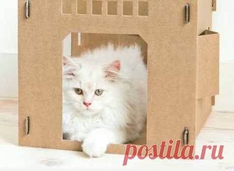 Делаем несложный домик для кошки своими руками, 3 мастер-класса (из коробки в том числе) с пошаговыми фотографиями