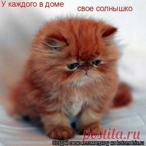 Уютный котейка | KotoMail.ru