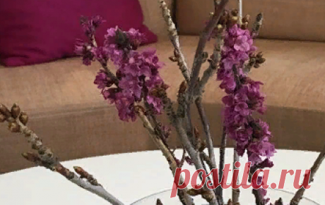 Gösta Westerberg Möbel в Instagram: «Klong Constella giftbox. Ta in våren på bordet 🌱🌸🌿#klong #klongconstella #klongäng #äntligenvår #göstawesterbergmöbel #fleminggatan13»