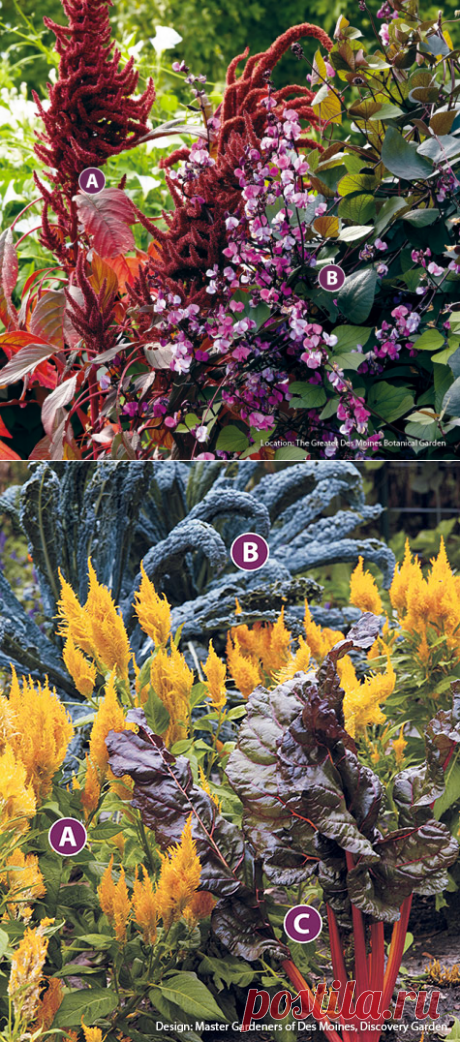 Purple plant combos for fall | Garden Gate