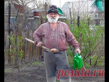 Новый метод посадки картошки. Посадка картошки 2016