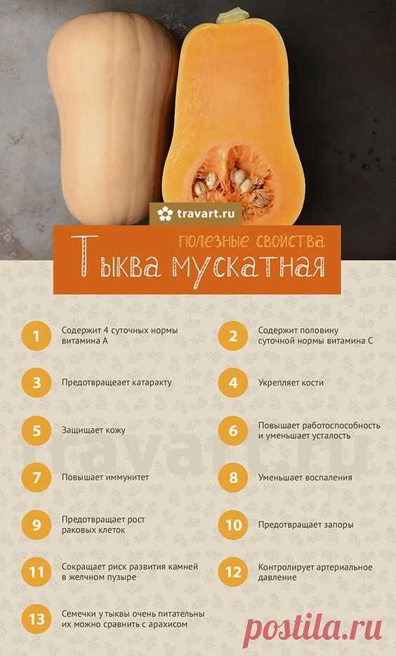 Тыква мускатная. Полезные свойства для организма.