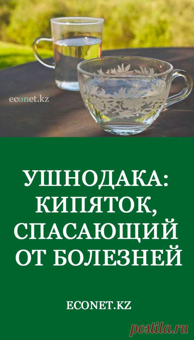 Приверженцы традиционной системы индийской народной медицины Аюрвер