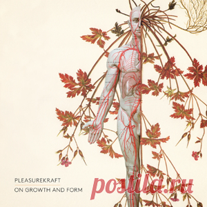 Pleasurekraft - On Growth And Form | 4DJsonline.com