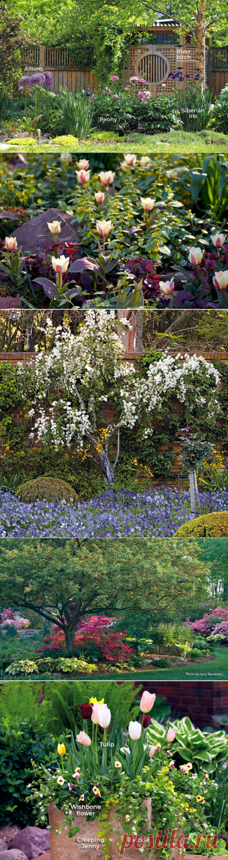 6 ways to create a beautiful spring garden | Garden Gate