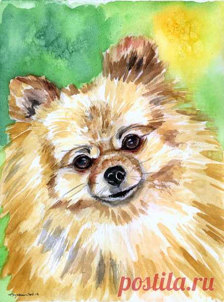 Sunny - Pomeranian by Lyn Cook Sunny - Pomeranian Painting by Lyn Cook