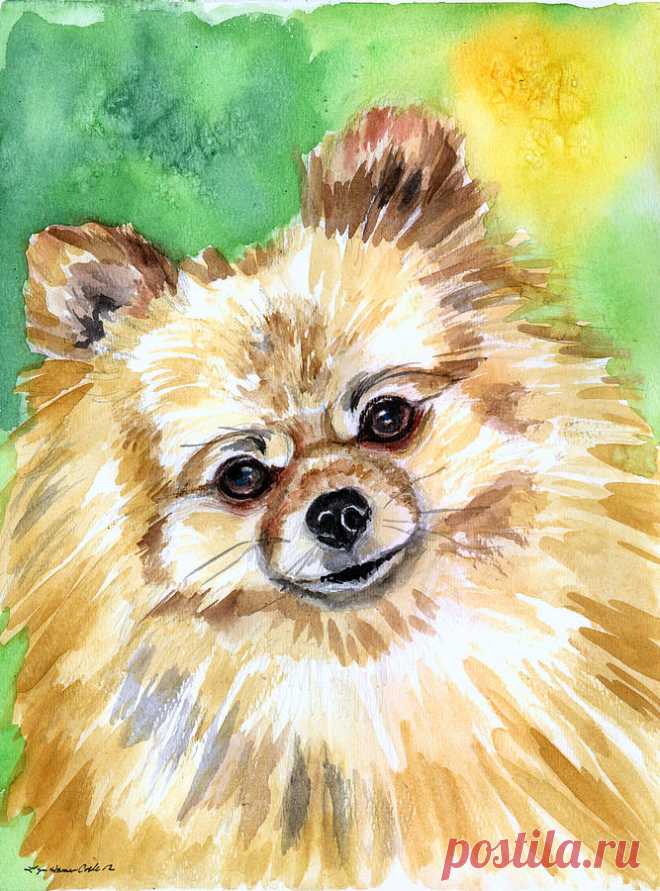 Sunny - Pomeranian by Lyn Cook Sunny - Pomeranian Painting by Lyn Cook