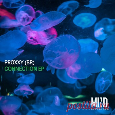 Proxxy (BR) – Connection