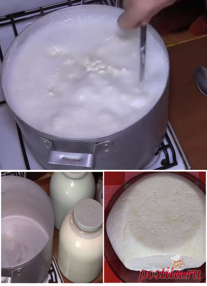 Брынза из молока в домашних условиях - лучший сайт кулинарии