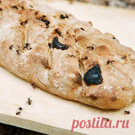 Пшенично-ржаной хлеб с изюмом и тмином рецепт – вегетарианская еда: выпечка и десерты