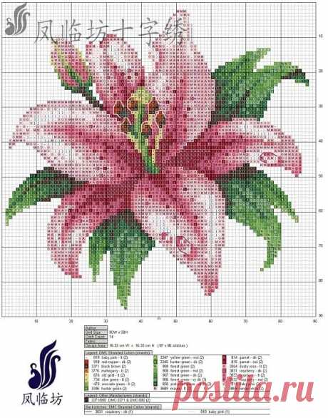 (36) Gallery.ru / Фото #57 - cross stitch graphics - pontodecruz15 | Hama perler BLOMSTER | Вышивание Крестиком, Стежки и Лилии