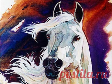 Wind Dancer - Horse F2 - Horses & Animals Background Wallpapers on Desktop Nexus (Image 676955)