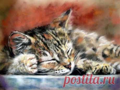 Pastel Paintings by Paul Knight. Cats | Art:watercolor