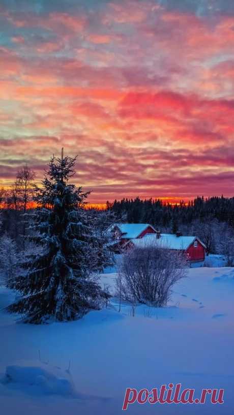 Wallpaper Красивый зимний закат. Пейзаж, Сумерки, Закат…  |  Pinterest • Всемирный каталог идей