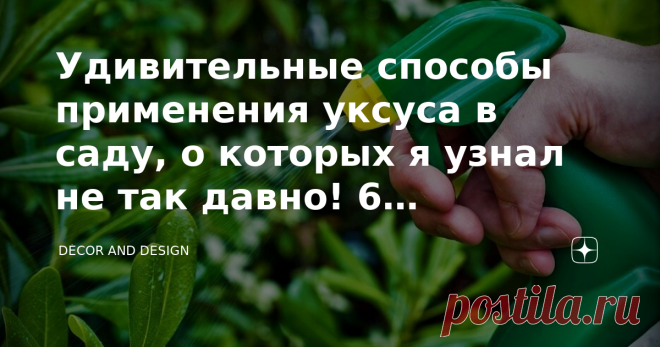 Удивительные способы применения уксуса в саду, о которых я узнал не так давно! 6 эффективных примеров Всем известно о том, что уксус можно использовать в кулинарии или дома в быту, а вот то, что он может быть крайне полезен в огороде или саду, знают далеко не все! А вот это упущение… Добрый день, дорогие друзья! Ибо с помощью уксуса можно удачно решить ряд непростых садово-огородных проблем: уничтожить сорняки, грибок, слизней; организовать подкормку почвы; почистить садов...