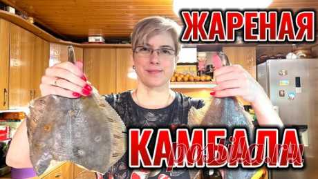 Жареная камбала | На кухне у ветеринара | Дзен