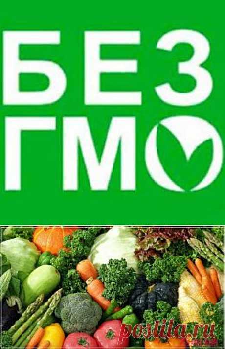 Что такое ГМО и вред ГМО для человека