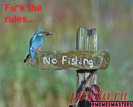 No Fishing | Gag Bee

#funny #memes #comics #humor #hilarious #fish #fishing #girls #boys #gagbee